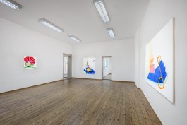 ausstellung in der galerie weisser elefant solweig de barry